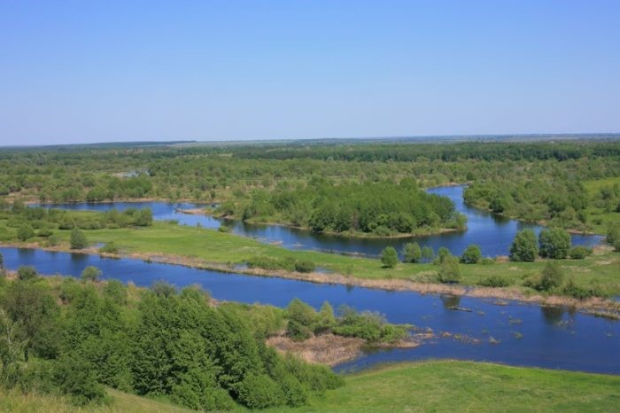 воронинский заповедник 2.